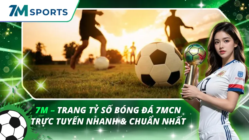 7M là gì? Trang này cung cấp những dữ liệu nào?