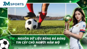 7m - Nguồn Dữ Liệu Bóng Đá Đáng Tin Cậy Cho Người Hâm Mộ
