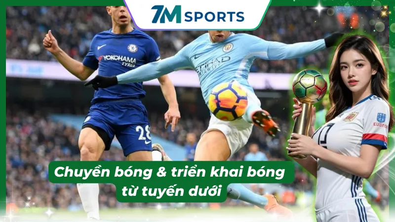 Vai trò của CB trong các sơ đồ