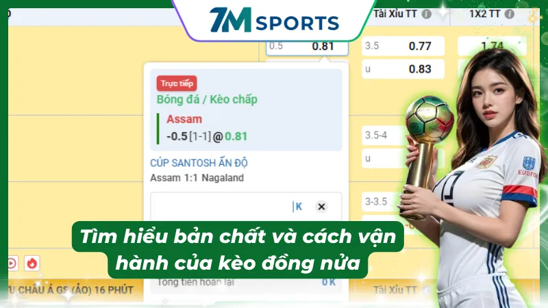 Giải đáp thắc mắc kèo đồng nửa là sao cho người mới