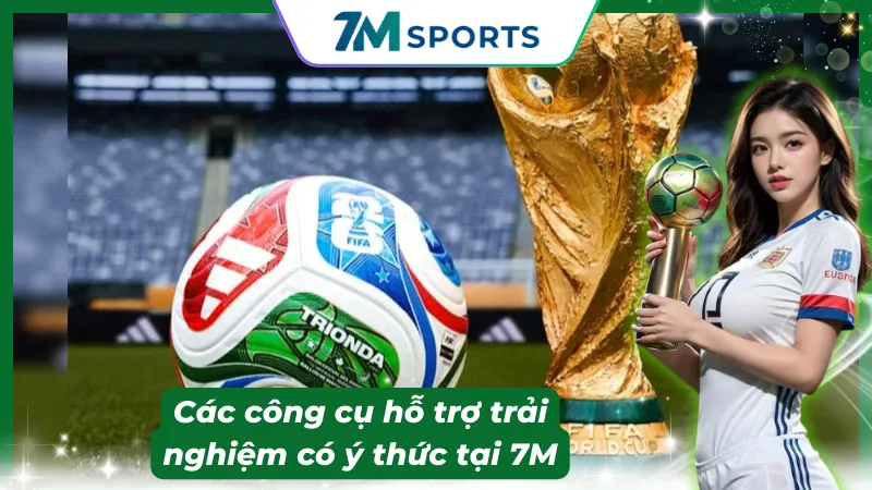 Minh bạch thông tin và giới hạn hỗ trợ của nền tảng