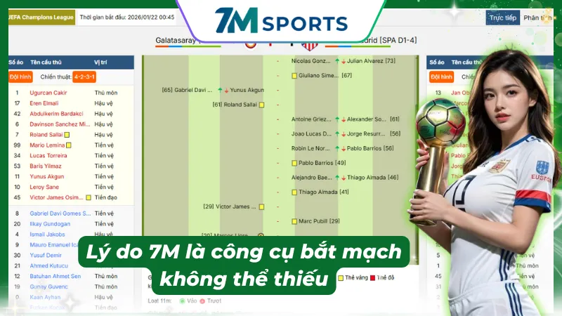 Các yếu tố chuyên môn ảnh hưởng đến số lượng thẻ phạt