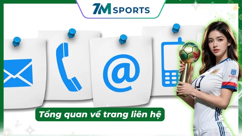 Vai Trò Của Trang Liên Hệ Trong Hệ Thống Dữ Liệu 7M