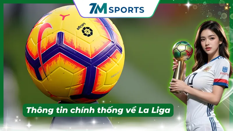 Theo dõi kết quả để hiểu xu hướng phong độ dài hạn